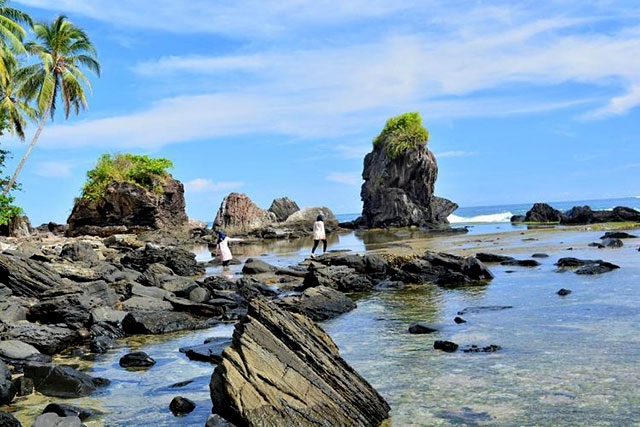 Pantai Tapak Kera