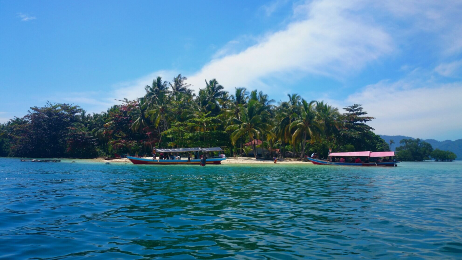 Tanjung Putus